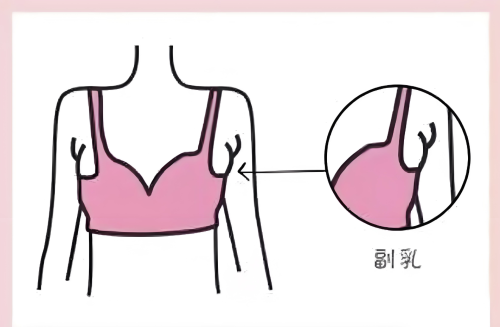 截屏2026-01-09 16.12.09.png