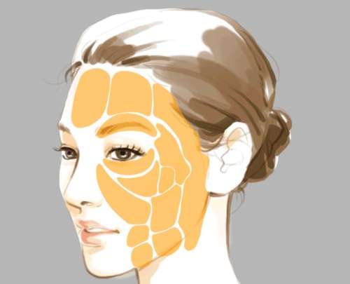 脂肪填充 脂肪填充