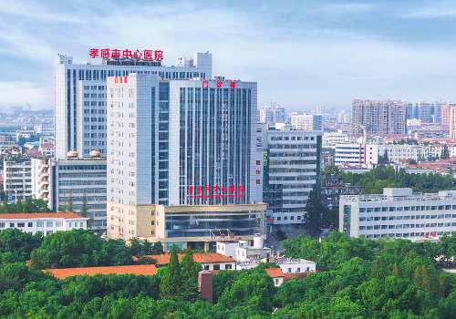 孝感市中心医院.jpg