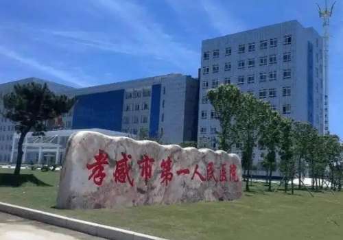 孝感市第一人民医院.jpg